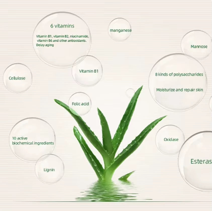 Foundation Makeup 99% Aloe Vera Softening Powder Waterproof Moisturizing Concealer Foundation Make up Face Contour Powder Brush